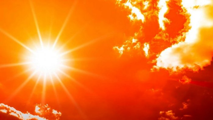 Plan canicule : Gleizé peut mieux faire